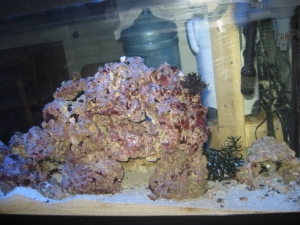 Right side