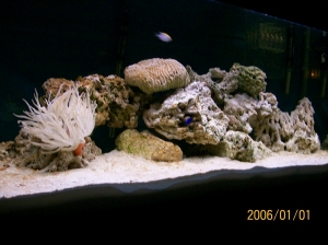 95 gallon