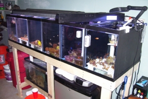 120 GAL. SYSTEM WITH 30 GAL. SUMP
