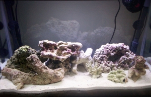 Six days after start