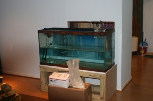 tankbuild build
