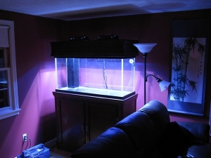 Another view, I think it is a good spot for the tank, not much natural light.