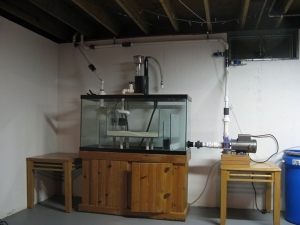 the wet/dry!!!
a 90 gallon tank with a built in refugium fed by the skimmer, a Reeflo Goby Gold pump, a fluval 405 in the cabinet for mechanical filtration, a UV sterilizer that is going to feed the fuge as well. 

I am hoping that the pump is strong e
