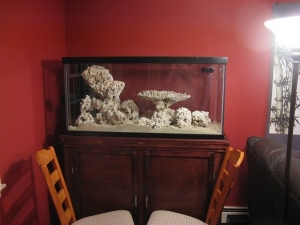 The aquascaping from the front (the hood is off obviously). I will be filling it with water this week I hope!