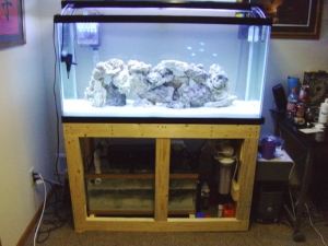 Full shot, stand still not covered.