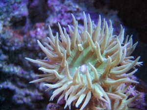 close up 3