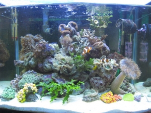 The front view of the 90Ltr