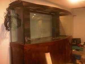 wow my first reef tank can't wait to see it done