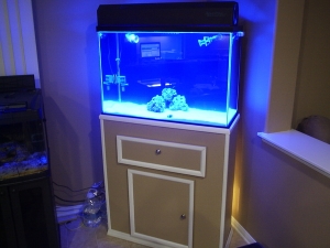 55g tank 004