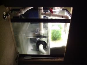 55g tank 001