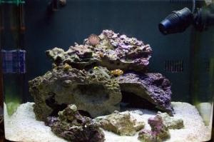 fts