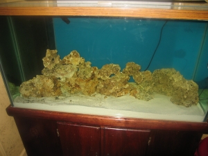 This is my 90 gallon aquarium, it has approx. 70 lbs of LR, 
100 lbs of LS, no fish or coral at this time but coming, will update