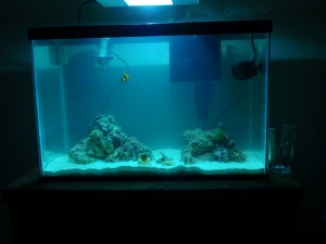 full tank shot

(still cloudy)