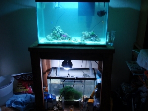 full full tank shot

(still cloudy)