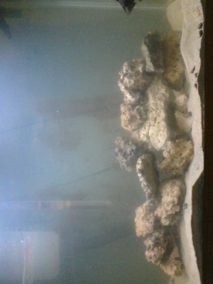 new setup as of nov 15 09
