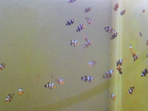 Babies - approximately 60 days old and 5/8" to 3/4"