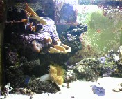 Fish tank half 3