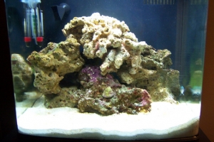 fts