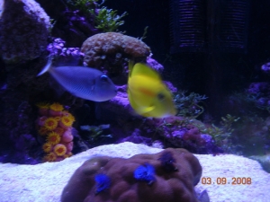 DSCN3331