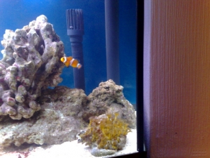 hay new home