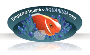 EmperorAquatics aquarium