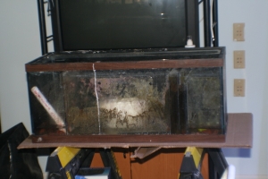 IMG 4079