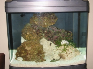 Tank at about 1 Mons.
