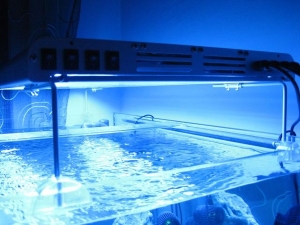 My aquarium lights