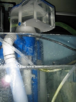 Turboflotor Blue 3000 Skimmer