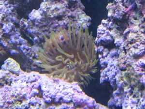 same nem when I first aquired about 2 years ago.