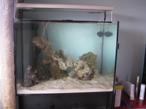 Aquascaping done