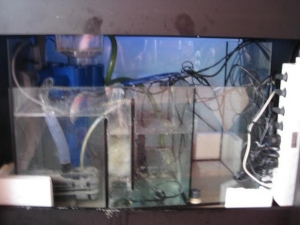 Sump with skimmer