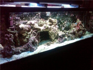 mytank