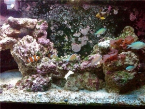 Right side