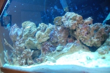 Aquarium 002