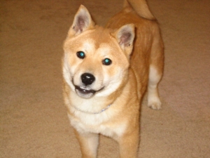 smile!