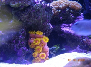 DSCN3334