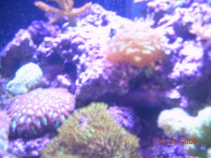 DSCN3356