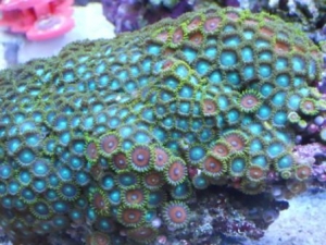 DSCN0235