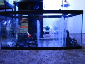 Sump