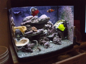 Bio Cube