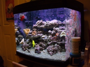 Bio Cube