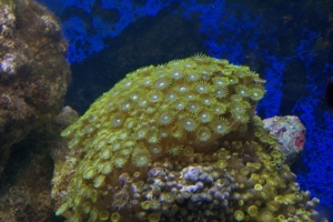 Picture 002