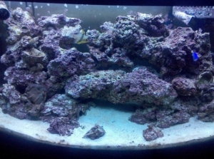 Not the best photo, but you can at least get an idea of the setup. I'll start building it up again once my parameters are all evened out again.