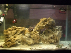 FTS 2