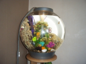 My marine biOrb 60l
