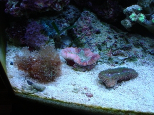 DSC00160