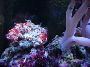 DSC00161