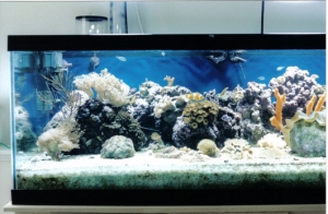 Front Left
