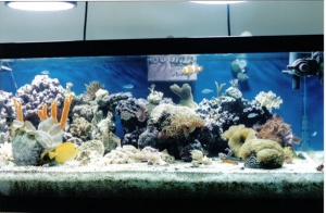 Front Right